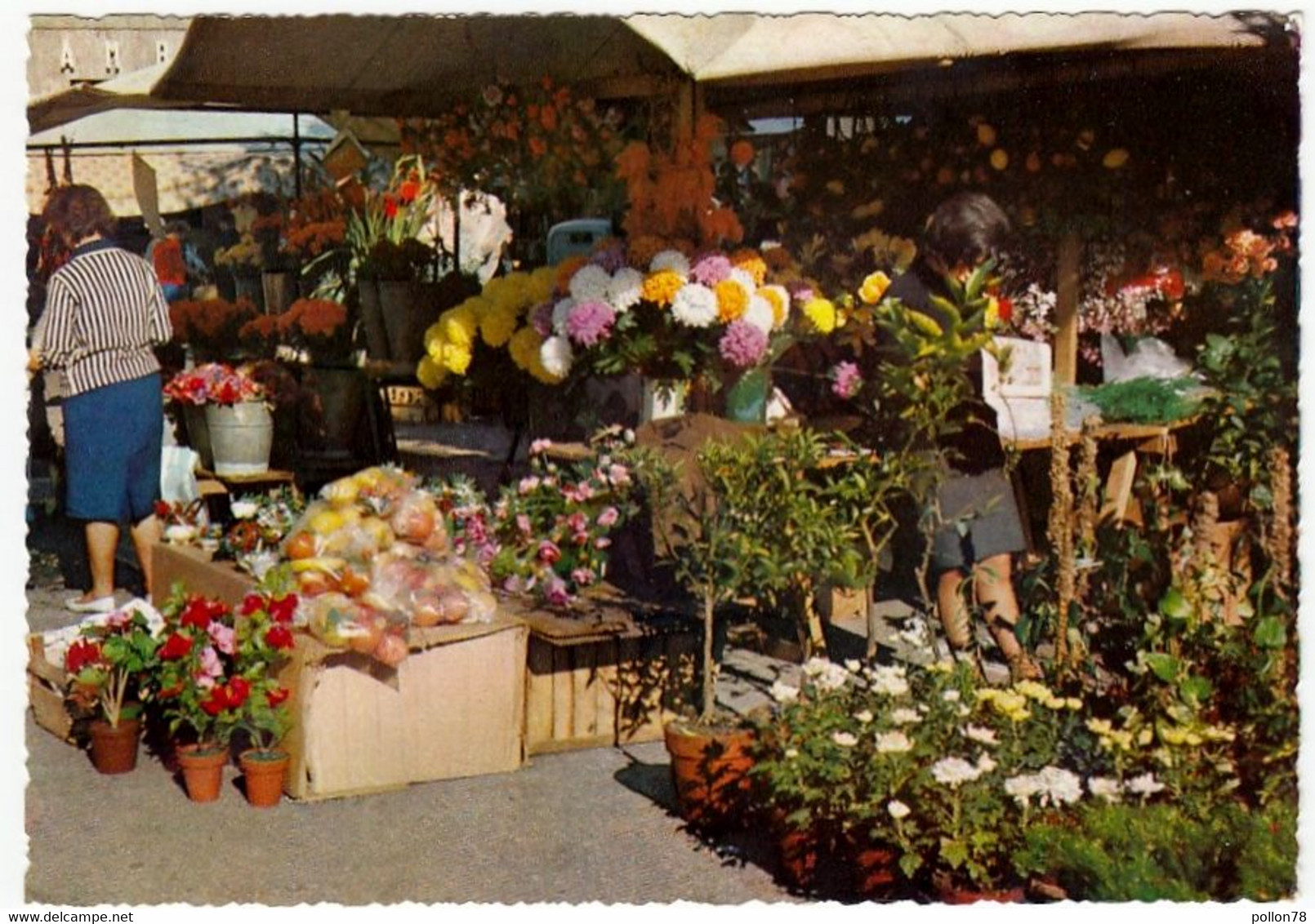 LAGO MAGGIORE - LUINO - IL MERCATO - VARESE - 1971 - Luino