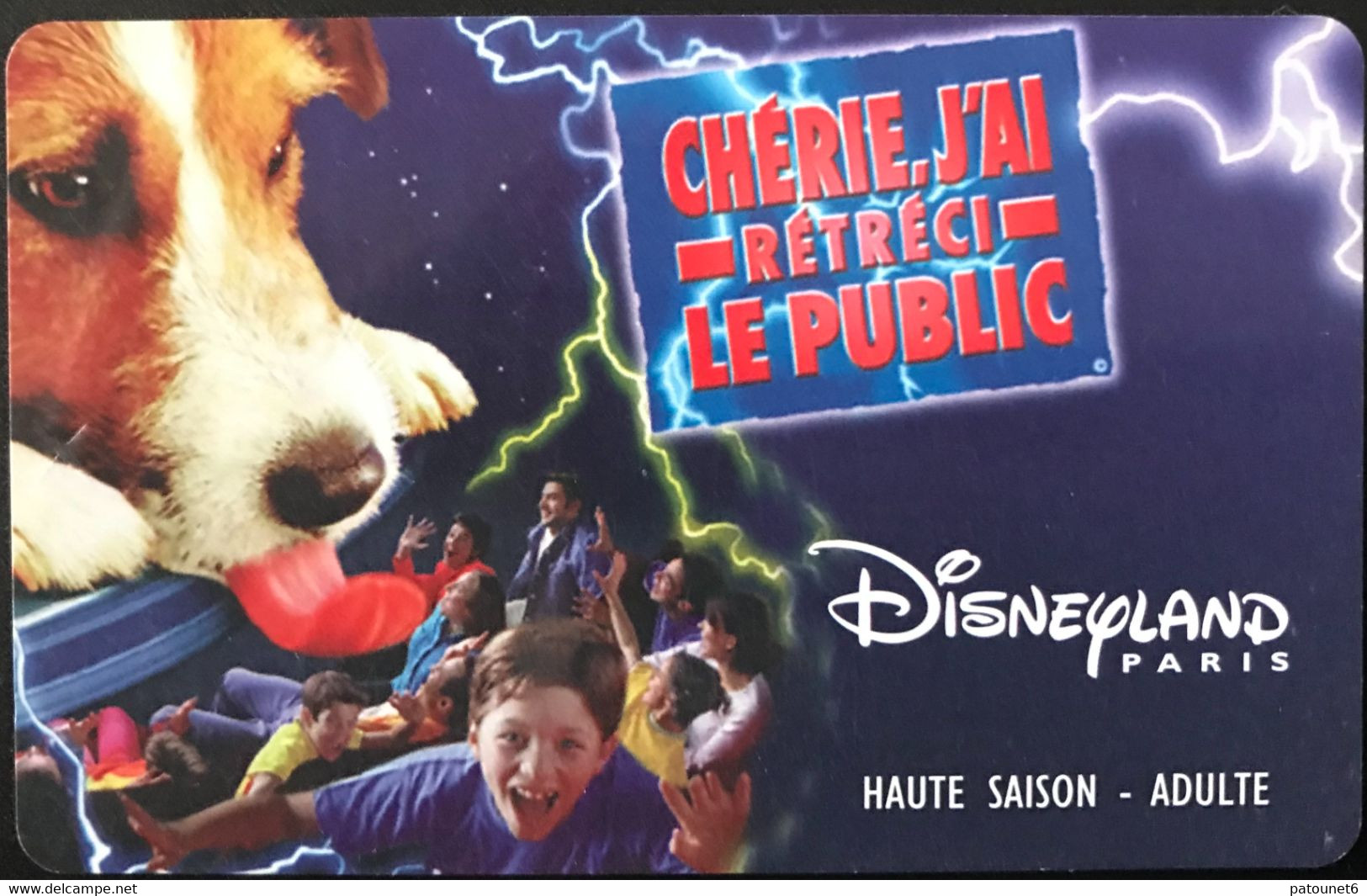 FRANCE  -  DisneyLAND PARIS  - CHERIE J'AI RETRECI  -  Adulte - Disney-Pässe