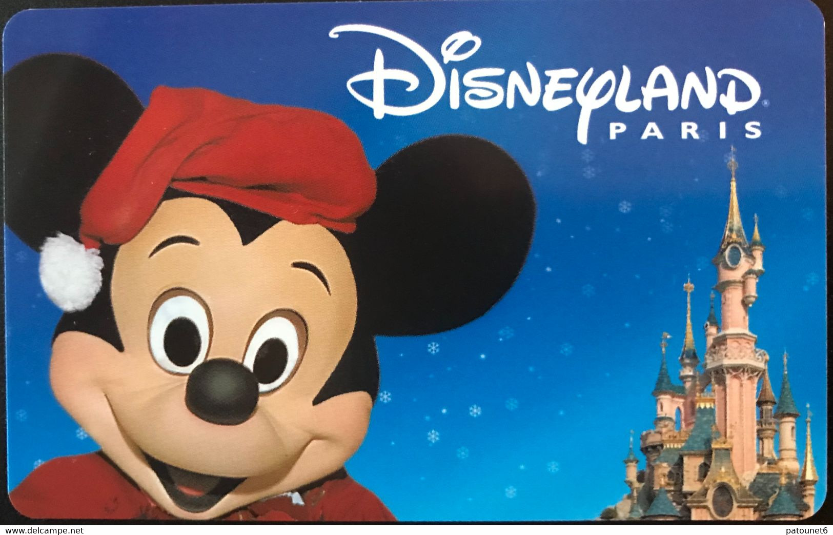 FRANCE  -  DisneyLAND PARIS  - HIVER MICKEY  -  Adulte   (sans Mention Adulte) - Disney-Pässe