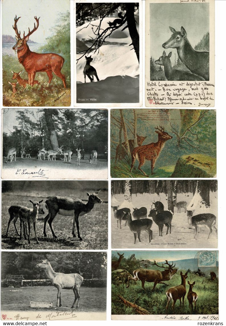 Lot 9 Cartes Postales CPA AAK Deer Fawn Cerf Hert Hirsch Cervo Veado Ciervo La Chasse Hunting Jacht - Chasse