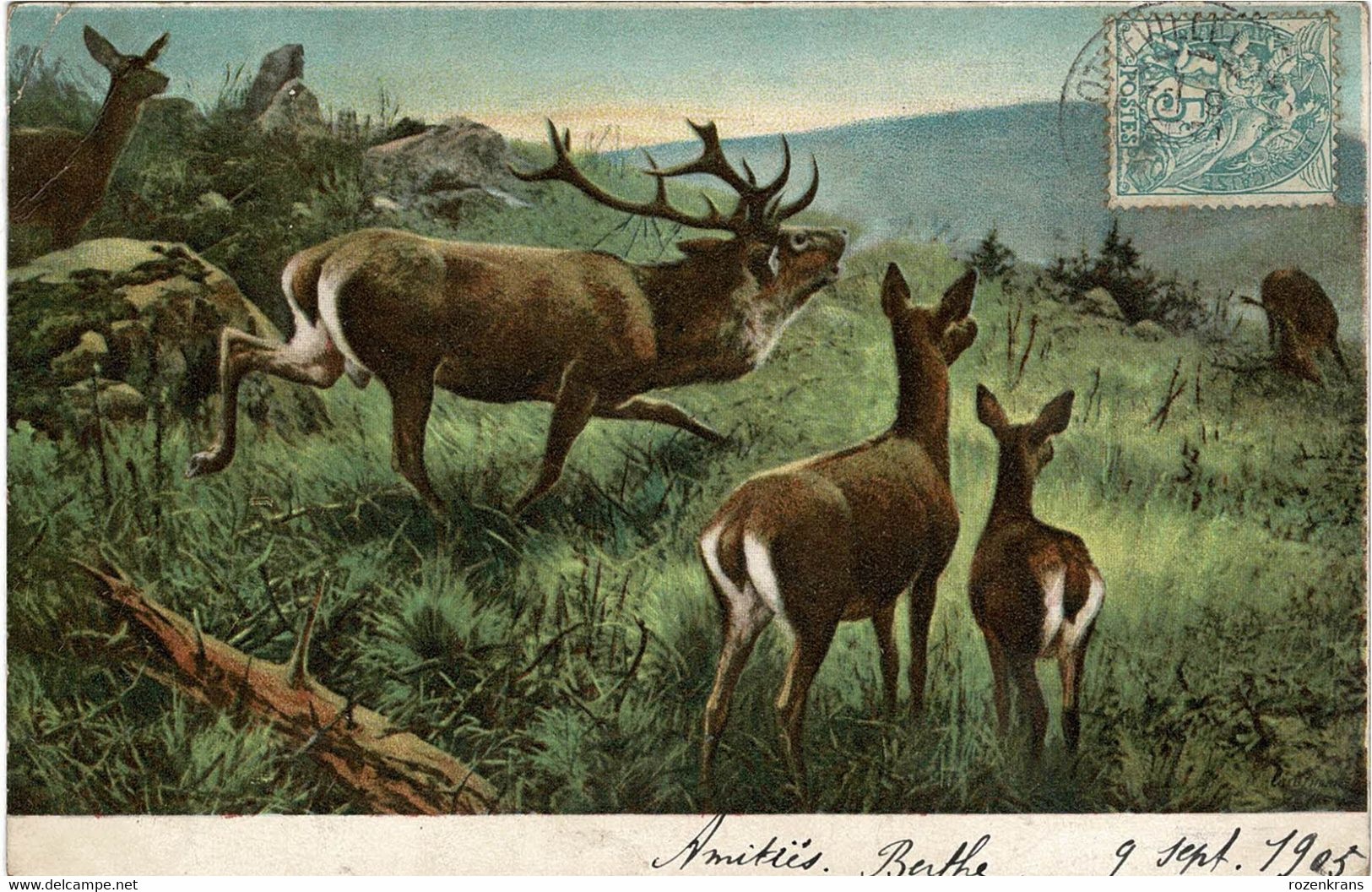 Lot 9 cartes Postales CPA AAK Deer fawn cerf hert Hirsch cervo veado ciervo La Chasse Hunting Jacht