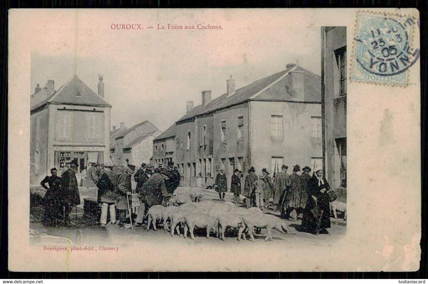 FRANCE - OUROUX - La Foire Aux Cochons.  ( Ed. Desvignes) Carte Postale - Ferias