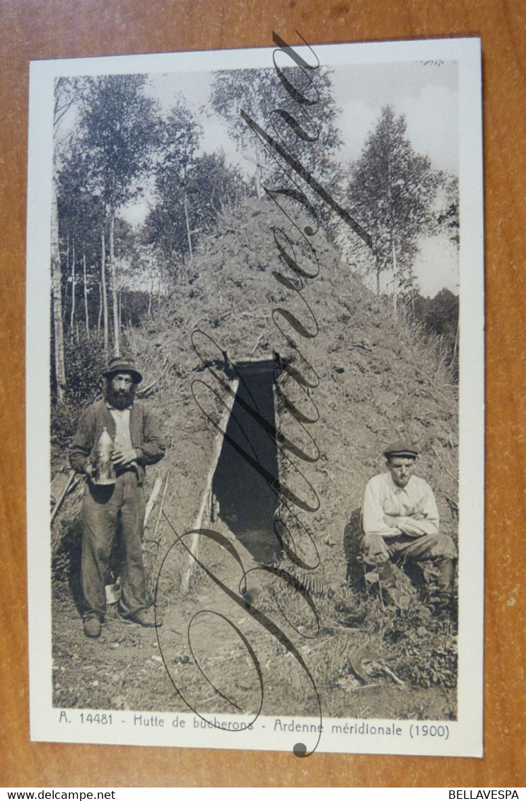 Postkaarten , cpa lot  19 stuks Provincie Liége. Luik