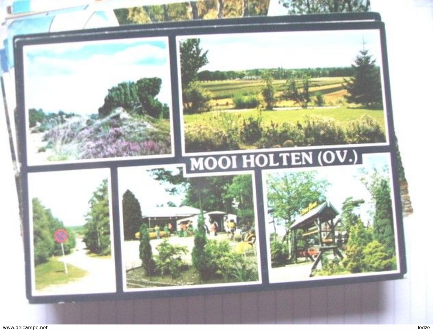 Nederland Holland Pays Bas Holten Met Mooie Natuur - Holten