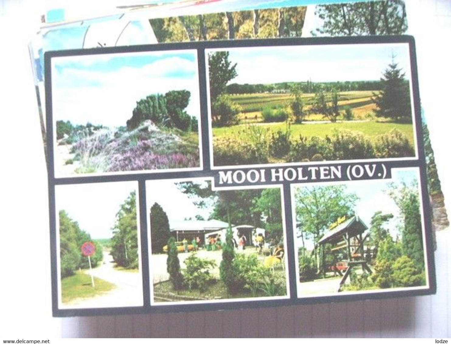 Nederland Holland Pays Bas Holten Met Fraaie Natuur - Holten