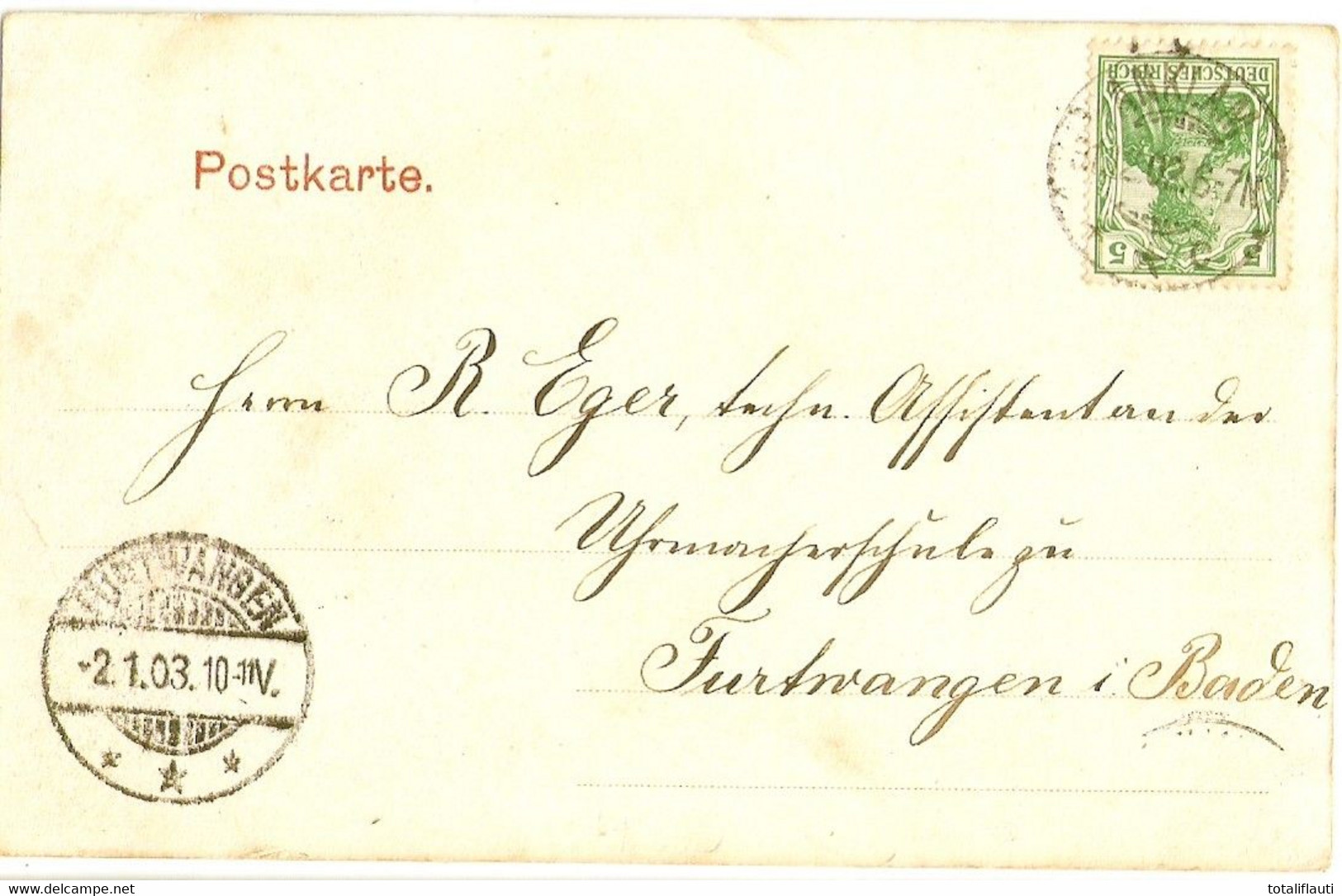 ANKLAM Markt Wein & Kaffee Gemischtwaren Pferde Ackerwagen Kutschen Gelaufen 31.12.1903 - Anklam