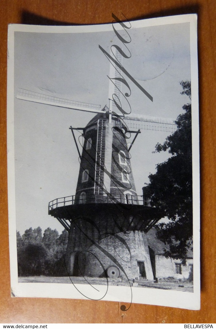 Sint Pauwels. Stenen Windmolen. Moulin A Vent. Sint Gillis Waas - Sint-Gillis-Waas