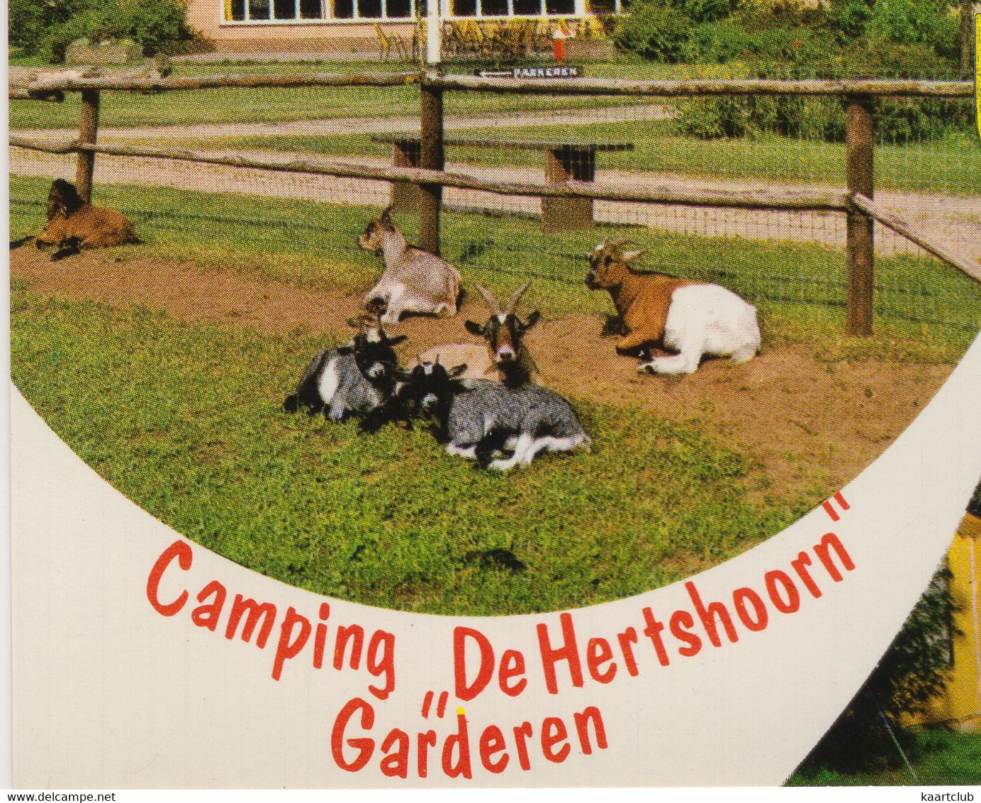 Garderen - Camping 'De Hertshoorn', Putterweg 68-70 - (Gelderland, Nederland) - GEITEN & STACARAVAN - Barneveld