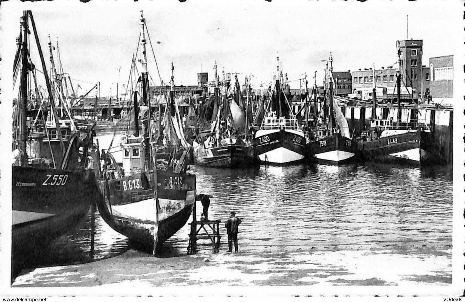 036 273 - CPA - Belgique - Zeebrugge - Le Port Et La Minque - Zeebrugge