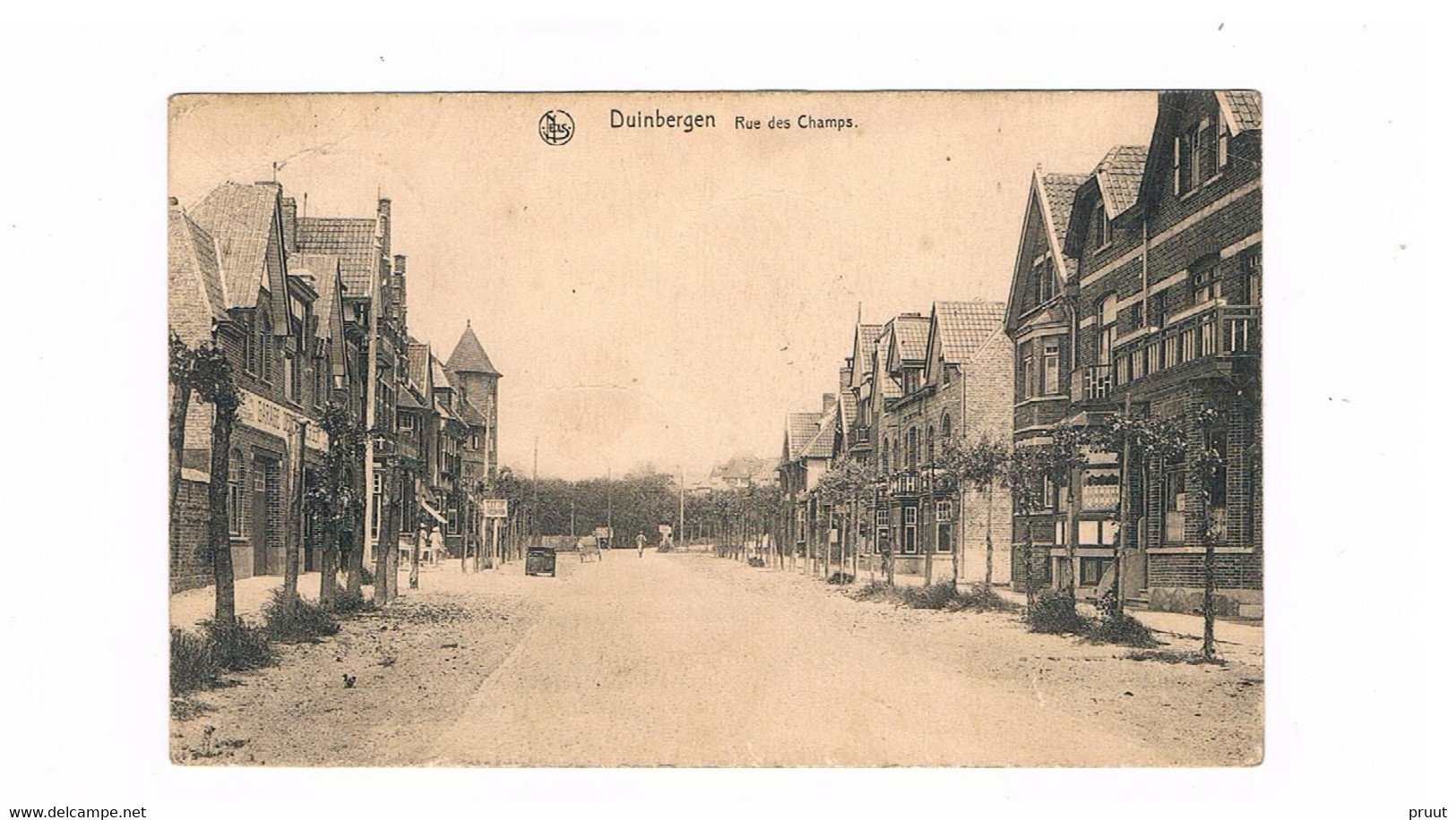 Duinbergen ; Rue Des Champs - Knokke