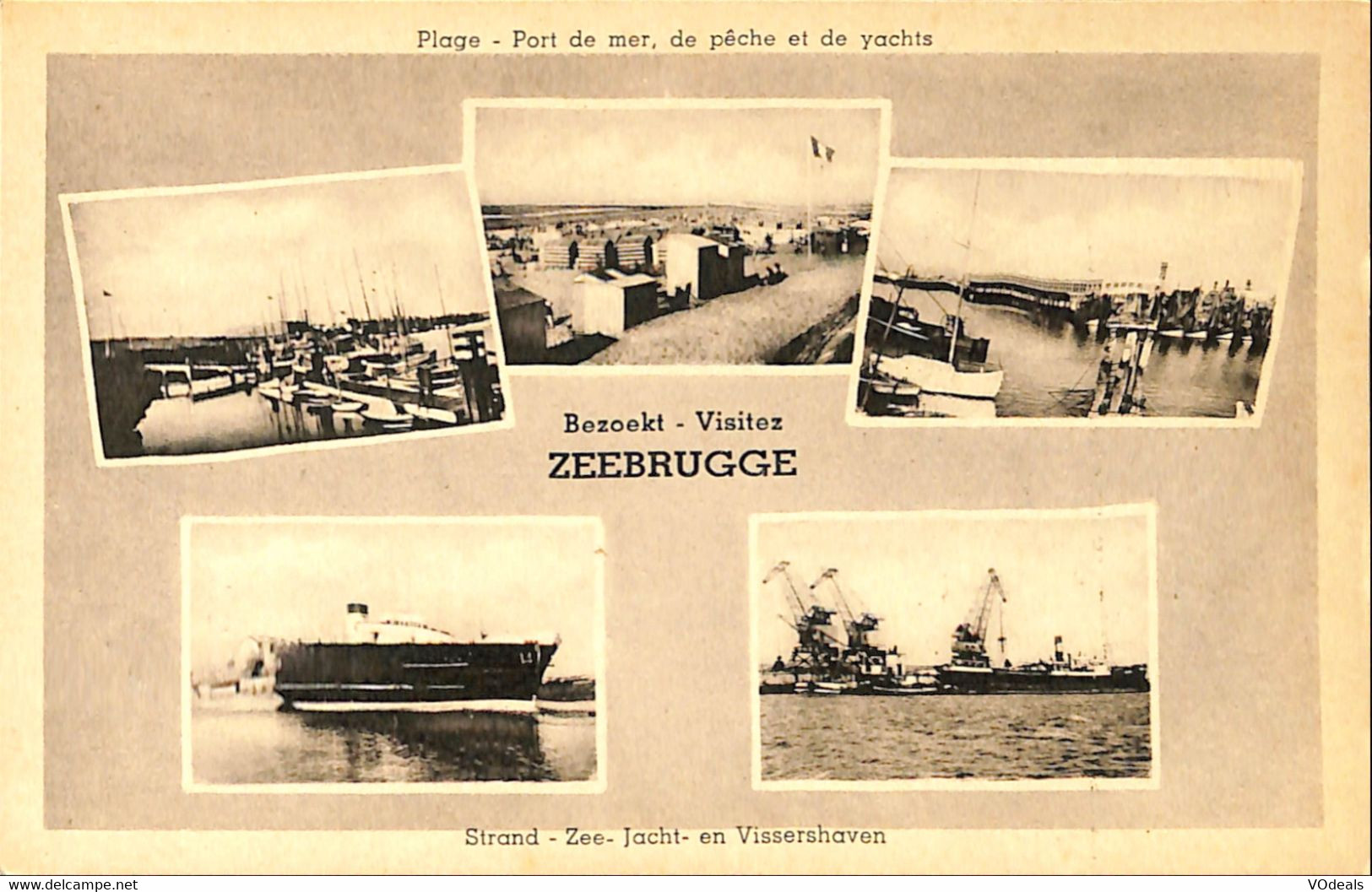 036 306 - CPA - Belgique - Zeebrugge - Bezoekt - Visitez Zeebrugge - Zeebrugge