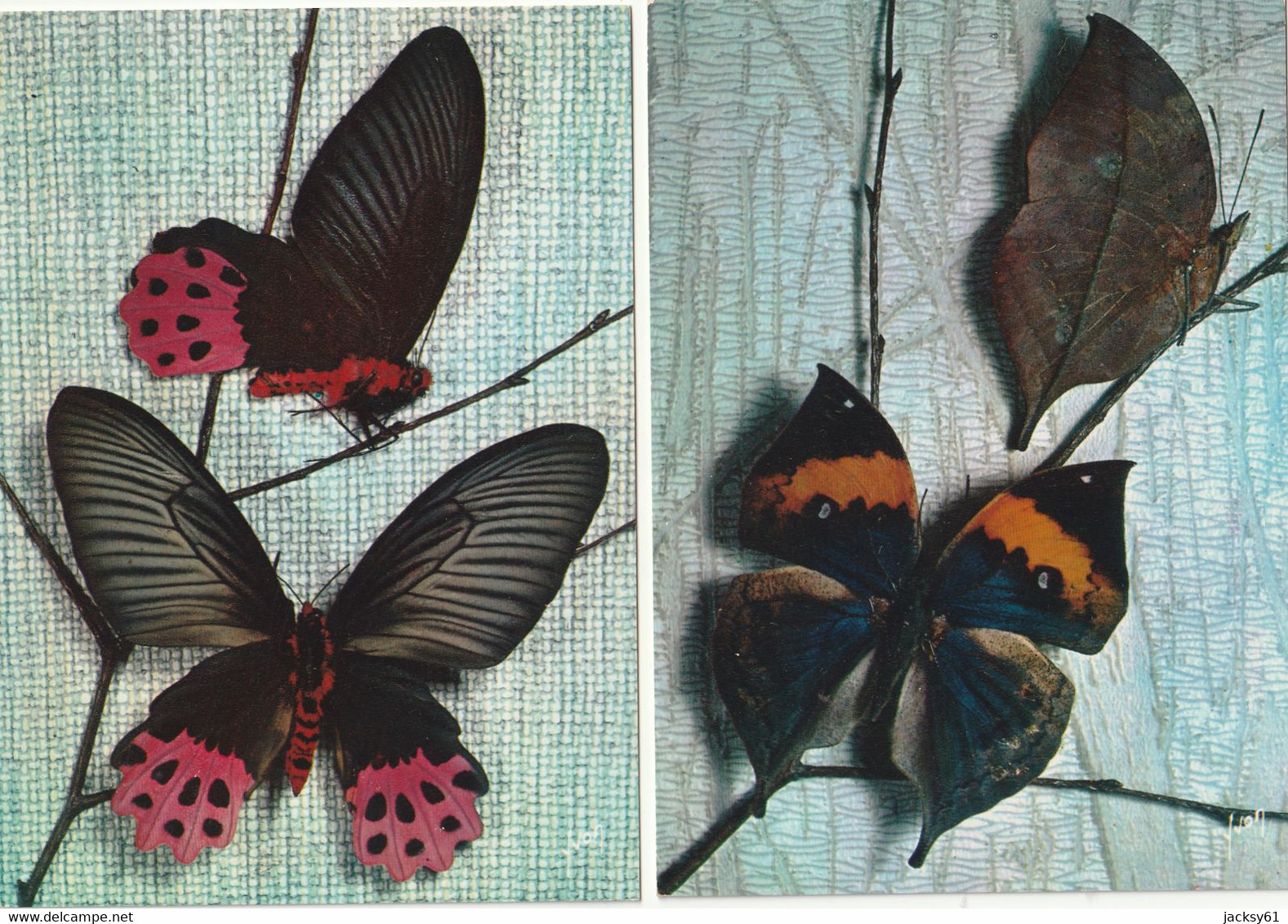 Papillons - ( 20 CP ) - Papillons