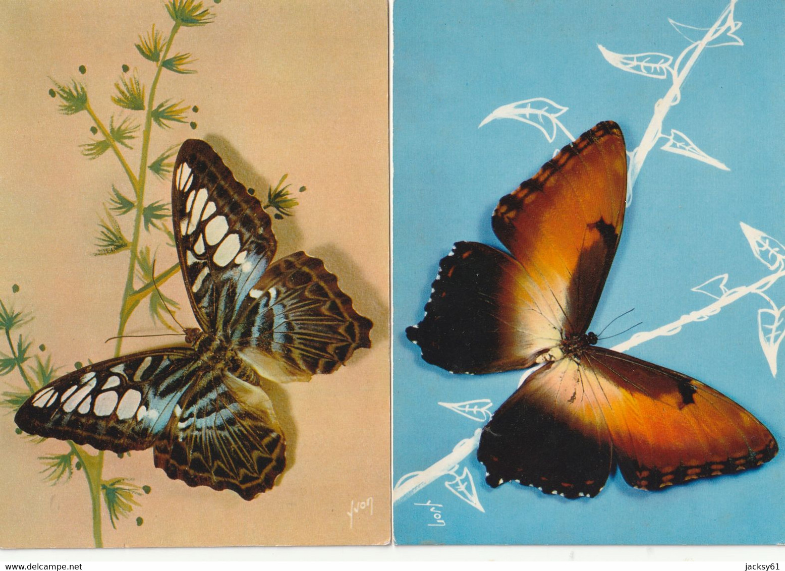 papillons - ( 20 CP )