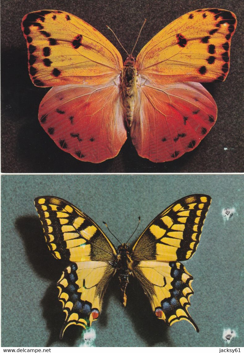 papillons - ( 20 CP )