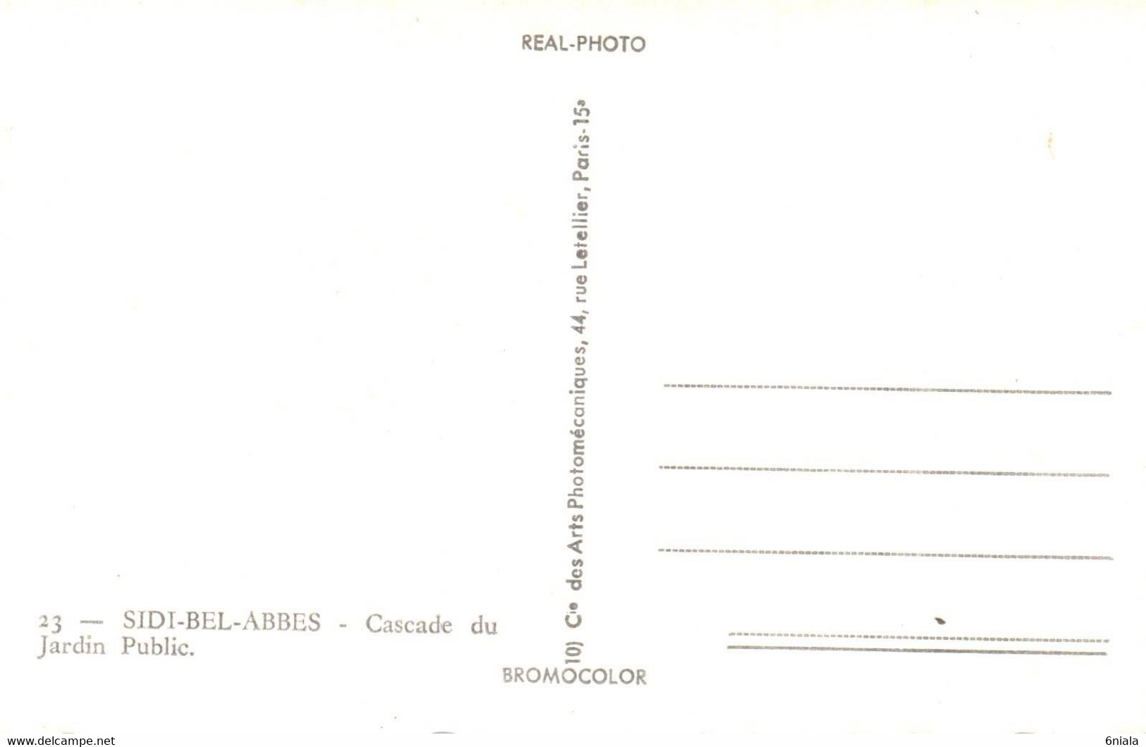 6811 Carte Postale SIDI BEL ABBES Jardin Public, Cascade Du Jardin Public       (scan Recto-verso) Algérie - Sidi-bel-Abbès