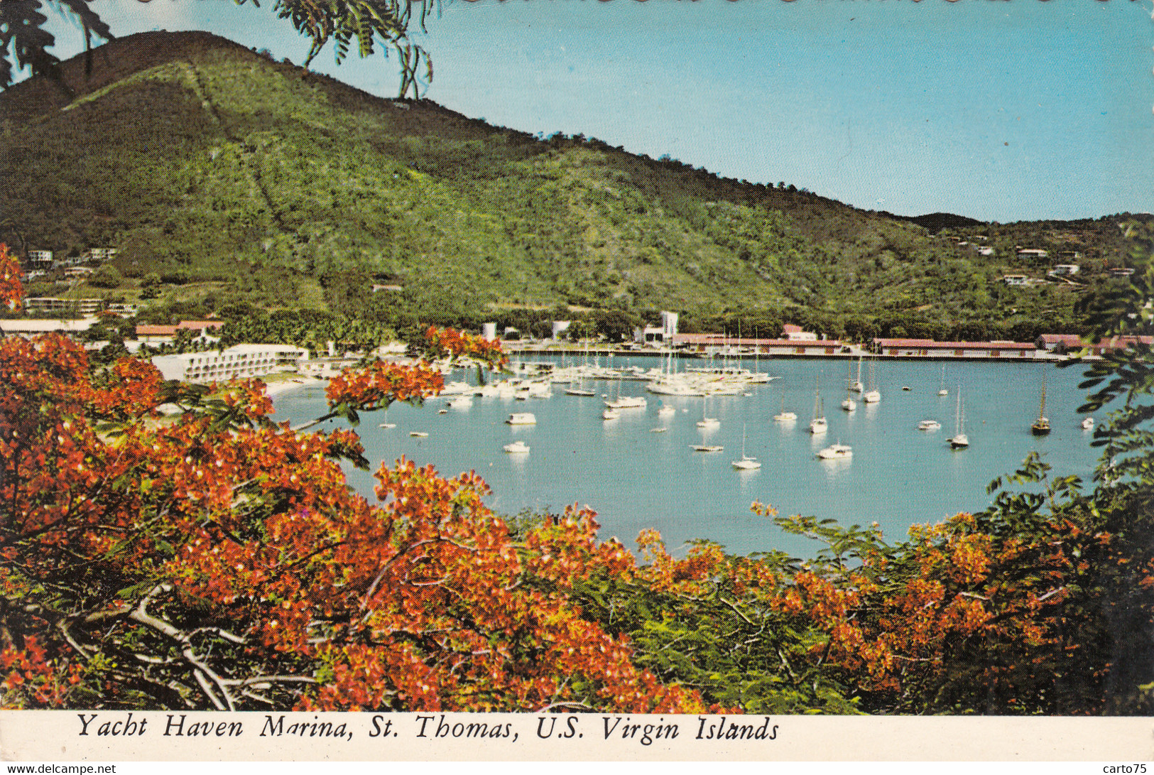 Amérique - Iles Virgin - US Virgin Islands - Saint Thomas - Yacht Haven Marina - Virgin Islands, US