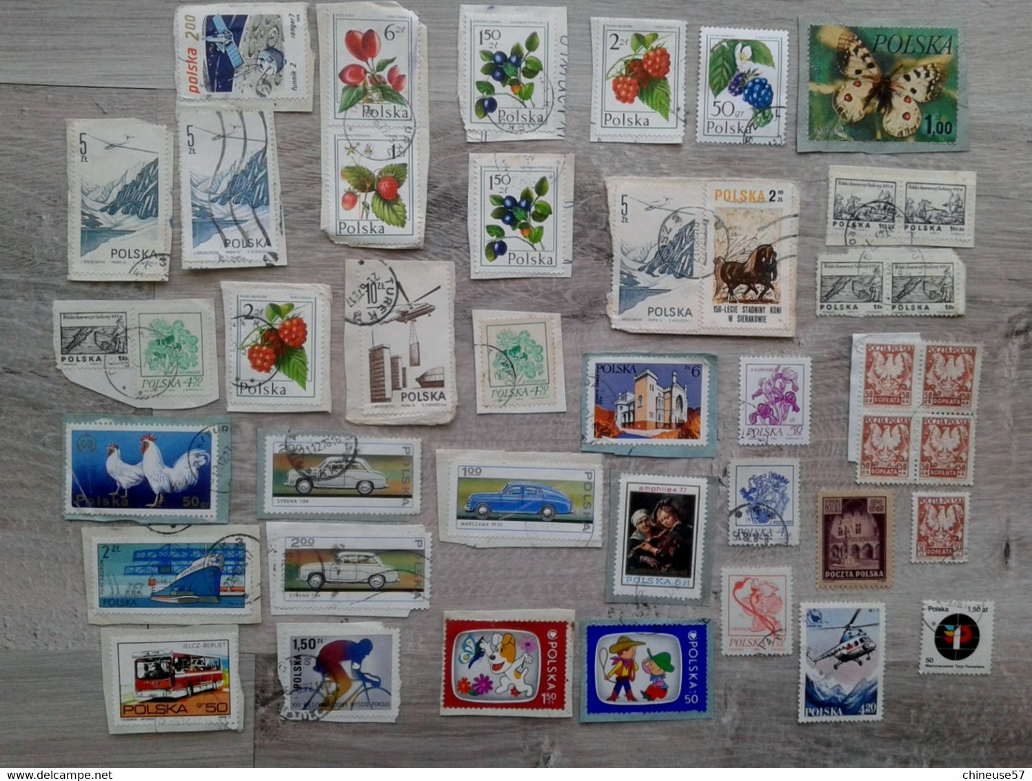 Timbres Polska Pologne Divers Sur Fragment Et Autres - Collections