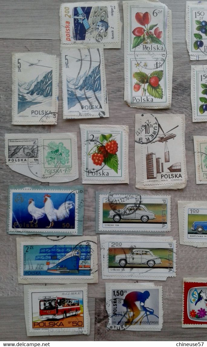 Timbres Polska Pologne Divers Sur Fragment Et Autres - Collections