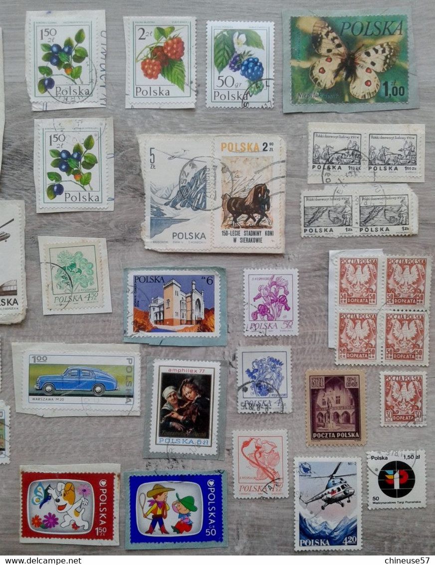 Timbres Polska Pologne Divers Sur Fragment Et Autres - Collections