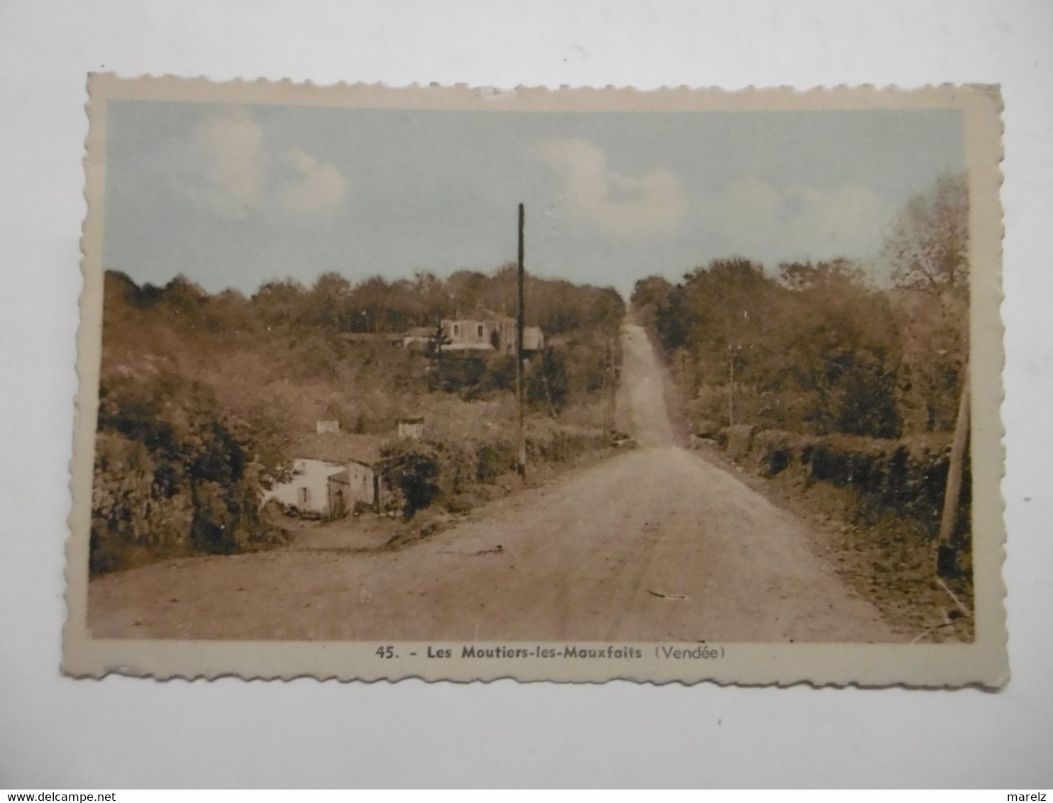 MOUTIERS LES MAUXFAITS Route De Moricq - CPA Colorisée 85 VENDEE - Moutiers Les Mauxfaits