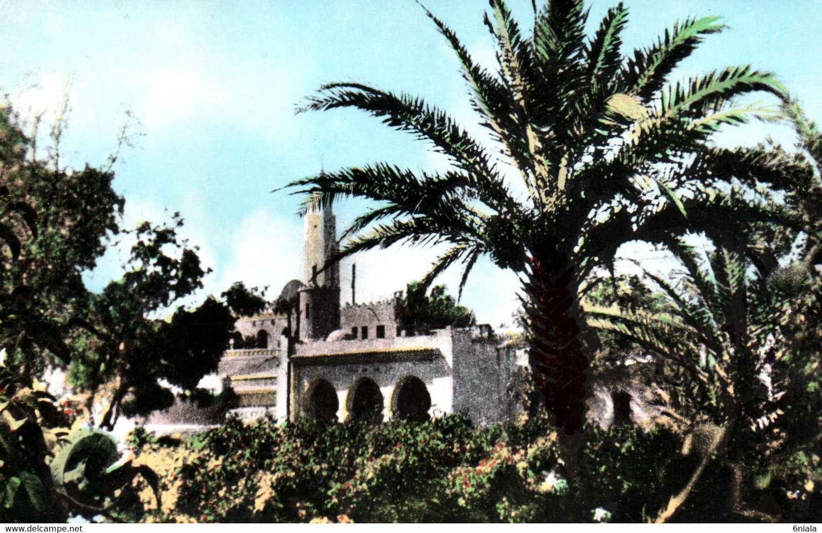 6830 Carte Postale COLOMB BECHAR ( Saoura)  Un Coin Du Jardin Public     (scan Recto-verso) - Bechar (Colomb Béchar)