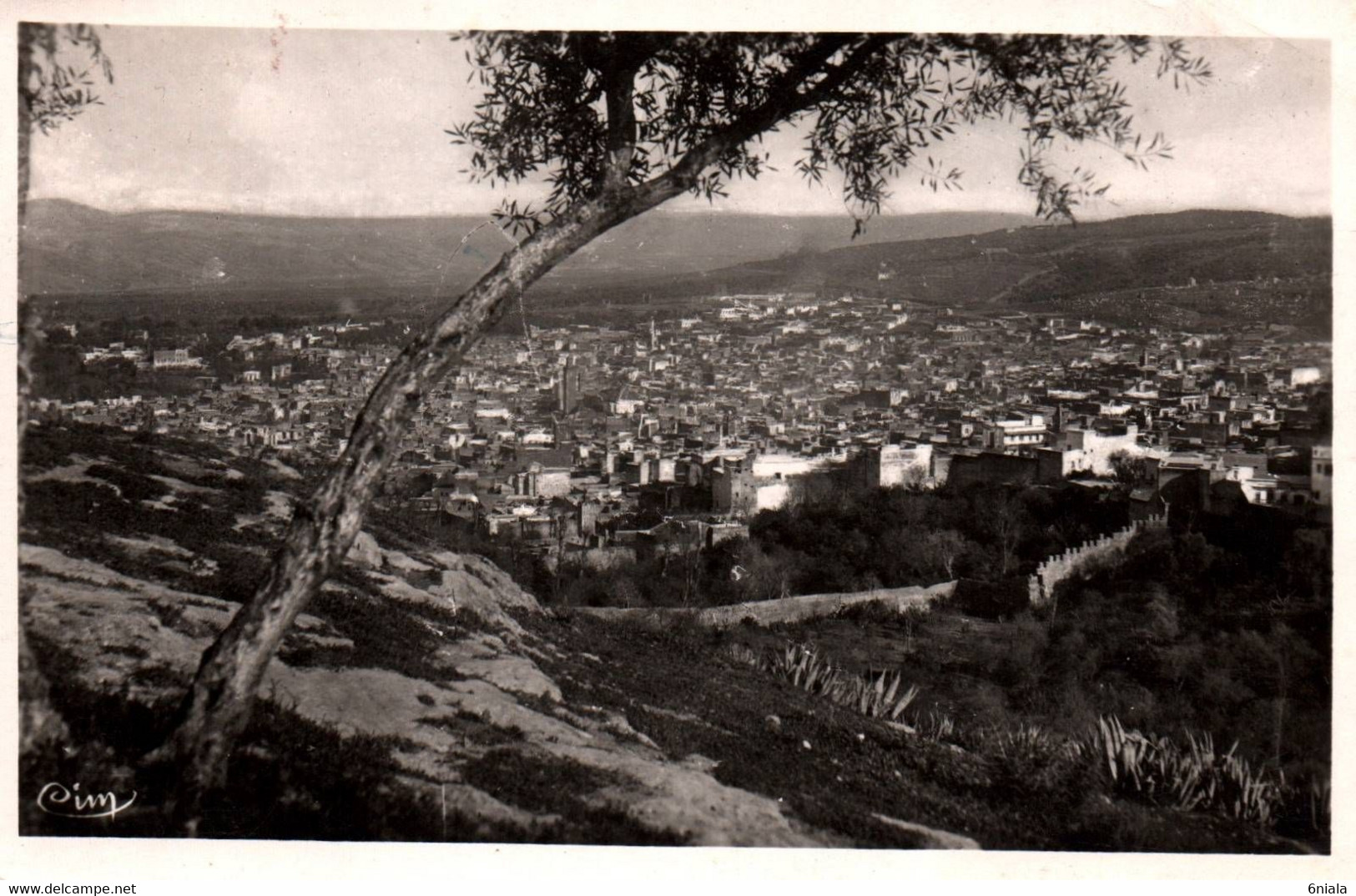 6837 Carte Postale FES Vue Générale De La MEDINA      (scan Recto-verso) Maroc - Fez (Fès)