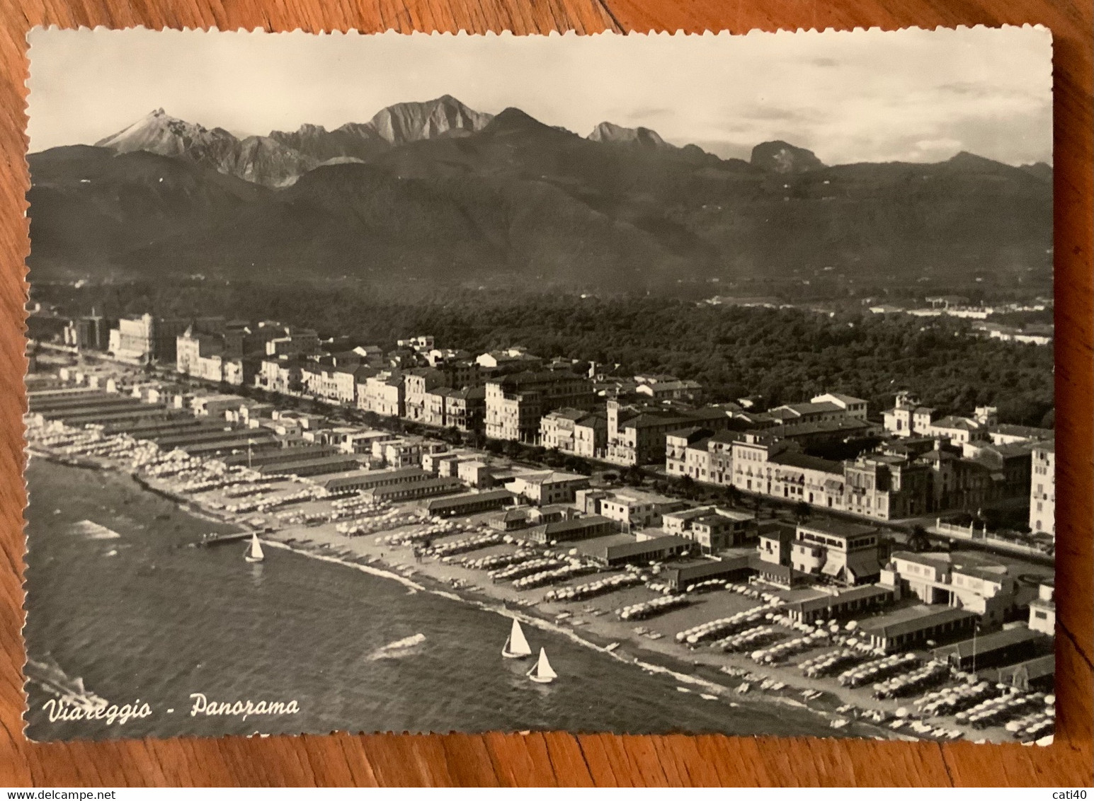 PADOVA - FIERA INTERNAZIONALE 1953 - L. 25 ISOLATO SU CARTOLINA DI VIAREGGIO - 10/9/52 - Grosseto