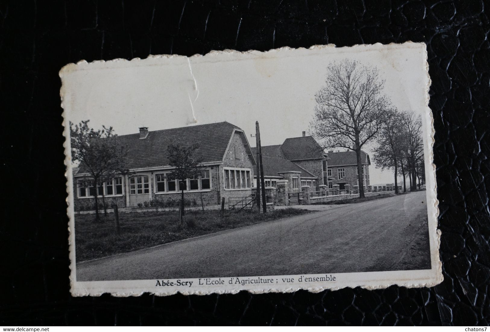 Pi/50 -  Liège  Tinlot   Abée-Scry  L'Ecole D'Agriculture ; Vue D'ensemble  - Circulé 1952 - Tinlot