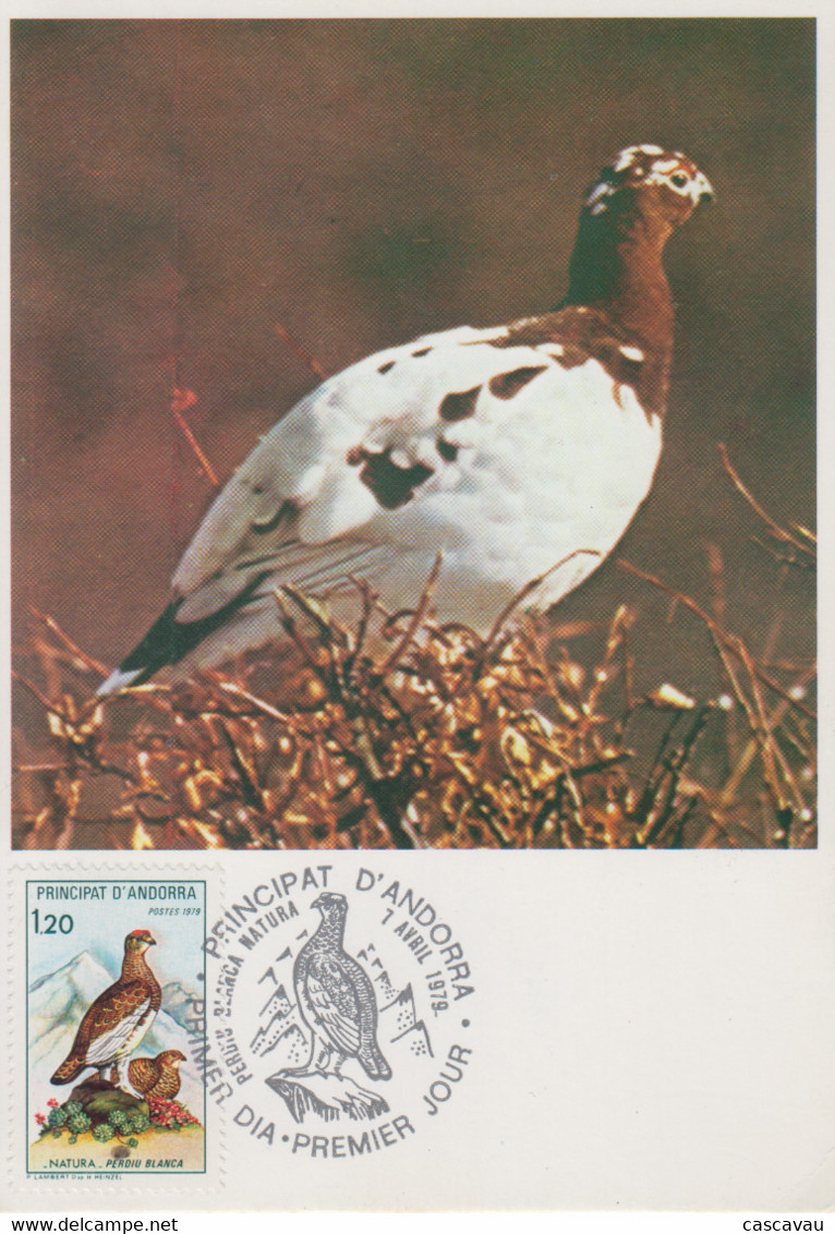 Carte  Maximum  1er  Jour  ANDORRE    Nature  :   Perdrix   Blanche    1979 - Maximum Cards