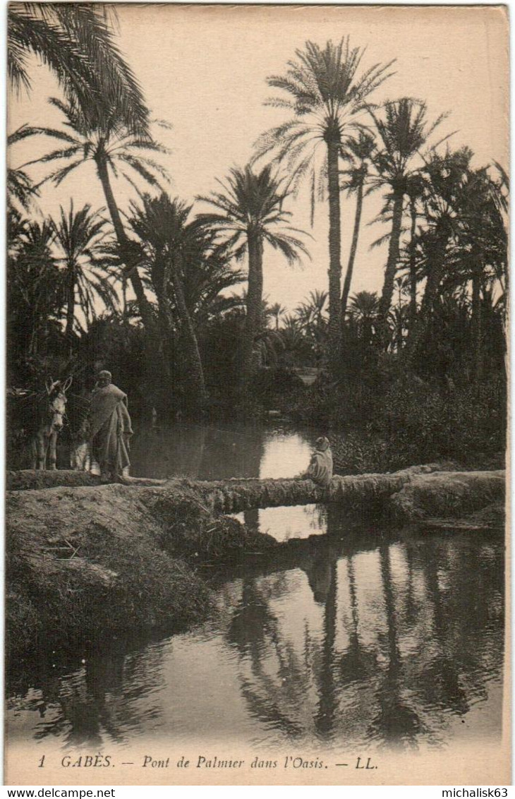 5KM 1O50 CPA - GABES - PONT DE PALMIER DANS L'OASIS - Tunisie