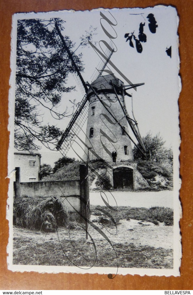 Balegem Stenen Windmolen Moulin A Vent. - Oosterzele