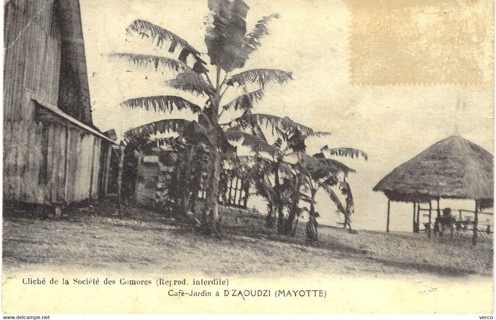 Carte POSTALE  Ancienne  De  MAYOTTE - D'ZAOUDZI, Café Jardin - Mayotte