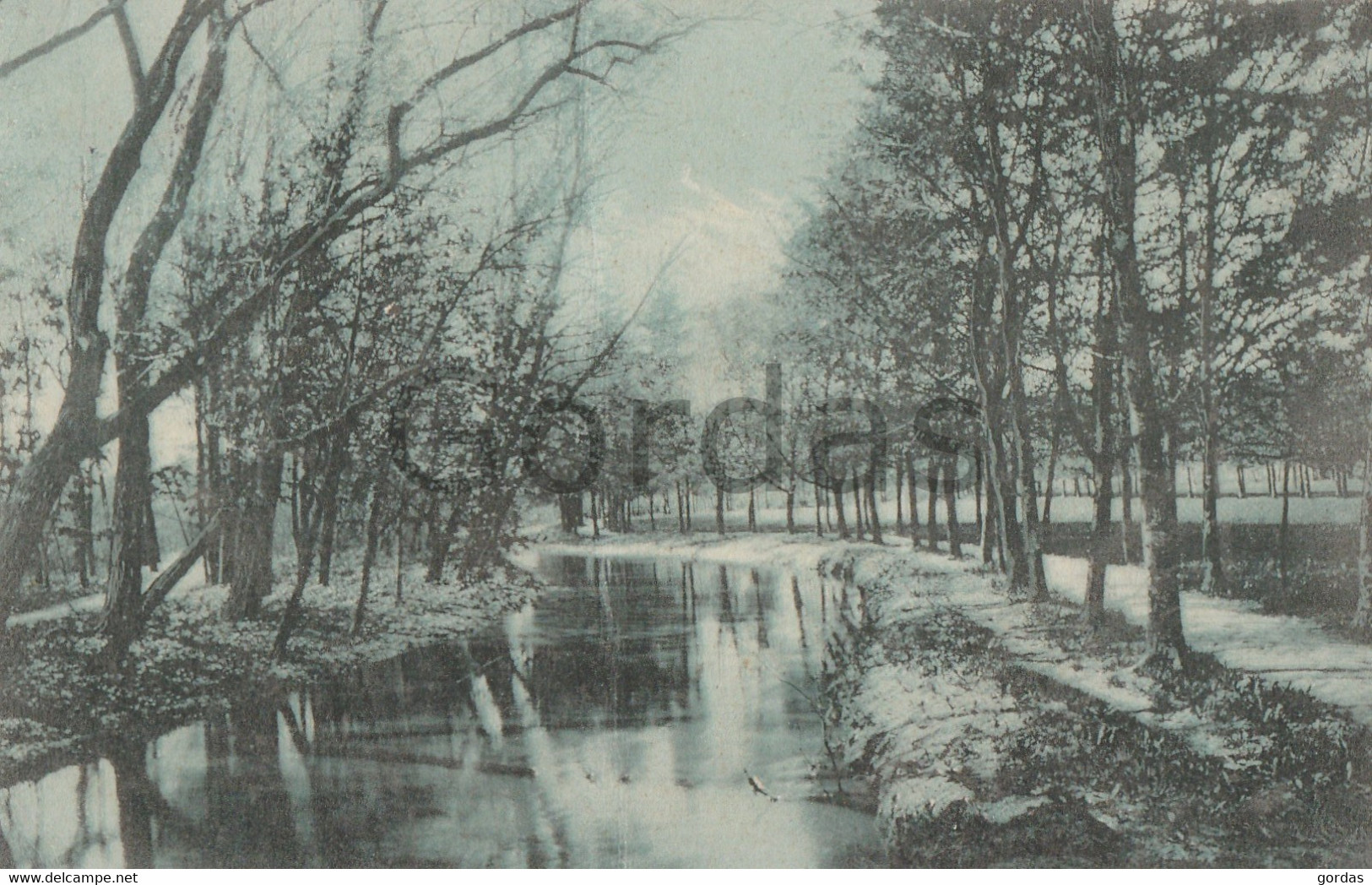 Germany - Sommerda - Partie In Stadtpark - Soemmerda