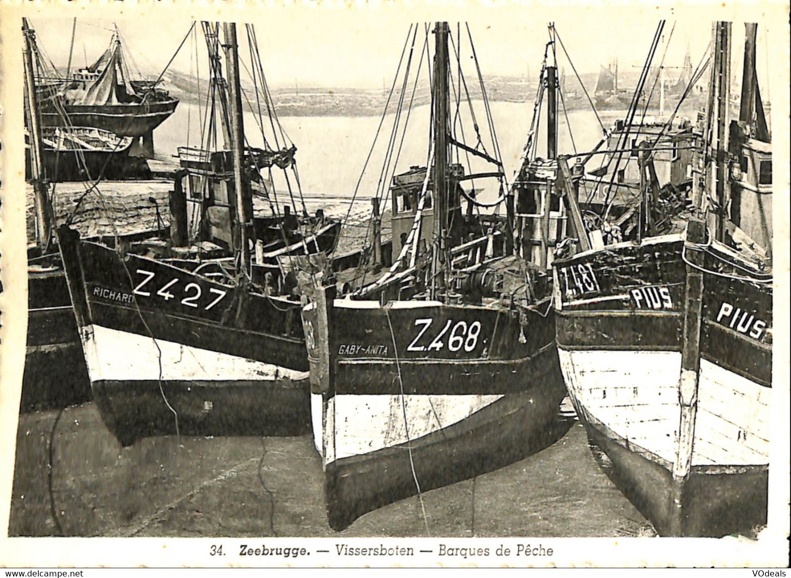 036 377 - CPM - Belgique - Zeebrugge - Vissersboten - Zeebrugge