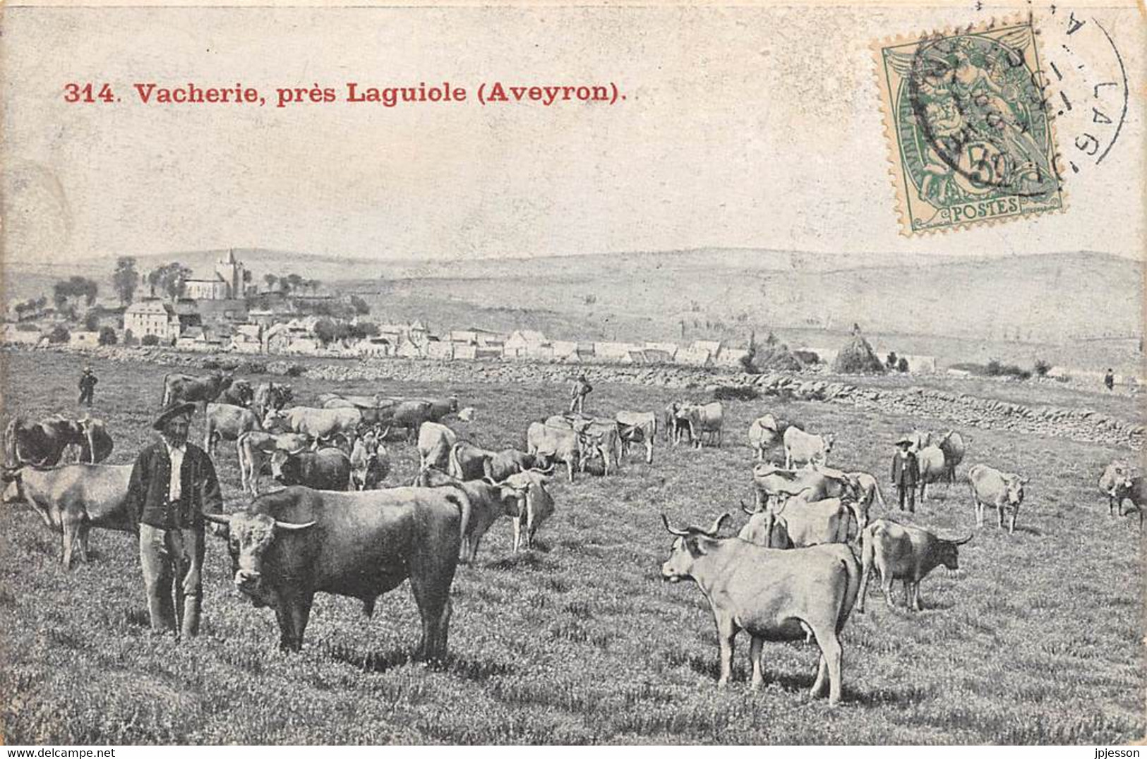 AVEYRON  12  VACHERIE, PRES LAGUIOLE - AGRICULTURE, ELEVAGE - Laguiole