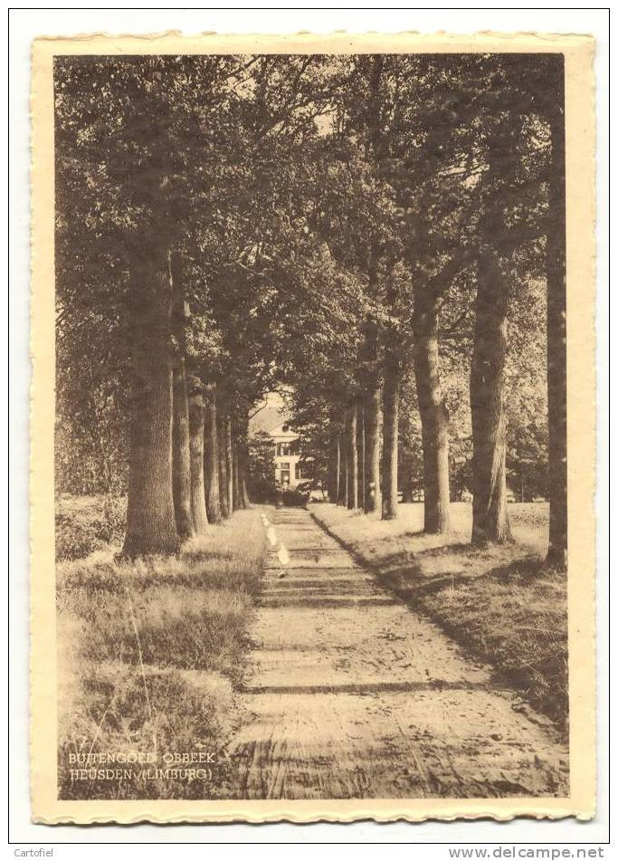 HEUSDEN-BUITENGOED OBBEEK-KASTEEL-CHATEAU-NIET VERSTUURDE ZICHTKAART UIT DE JAREN '50 IN NIEUWE STAAT - Heusden-Zolder