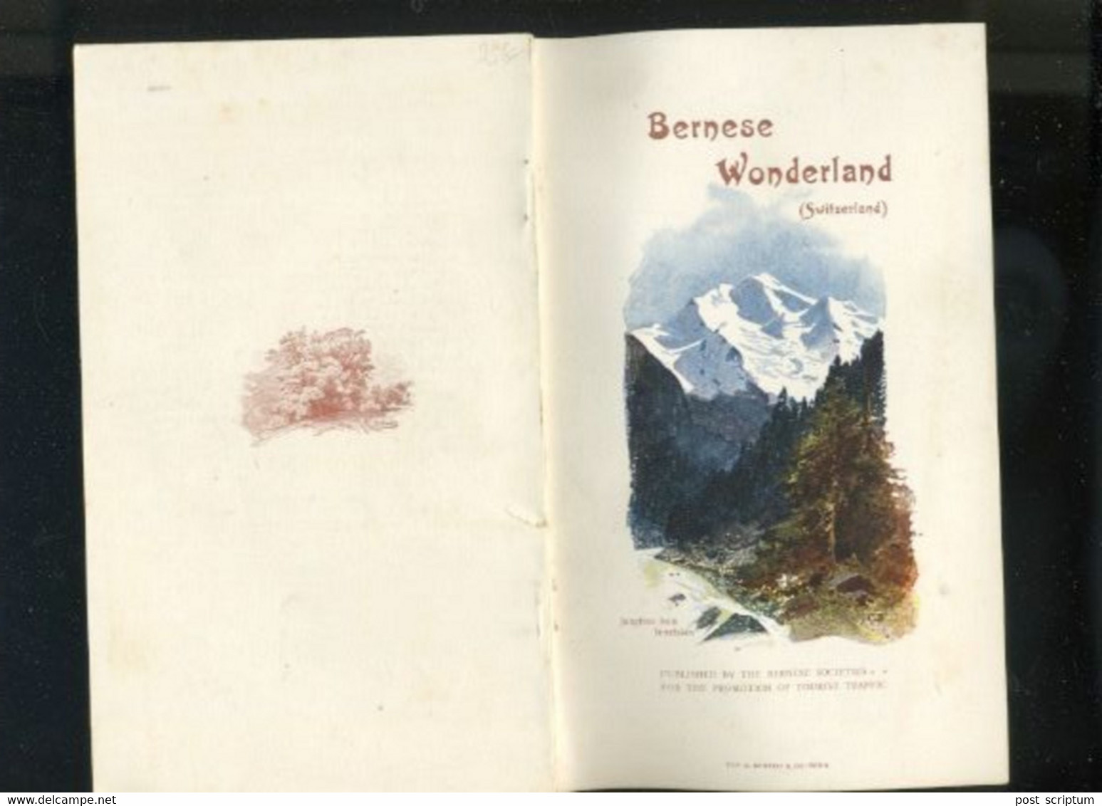 Livre - Brochure - Guide Touristique - Bernese Wonderland - Suisse -canton De Berne - Europa