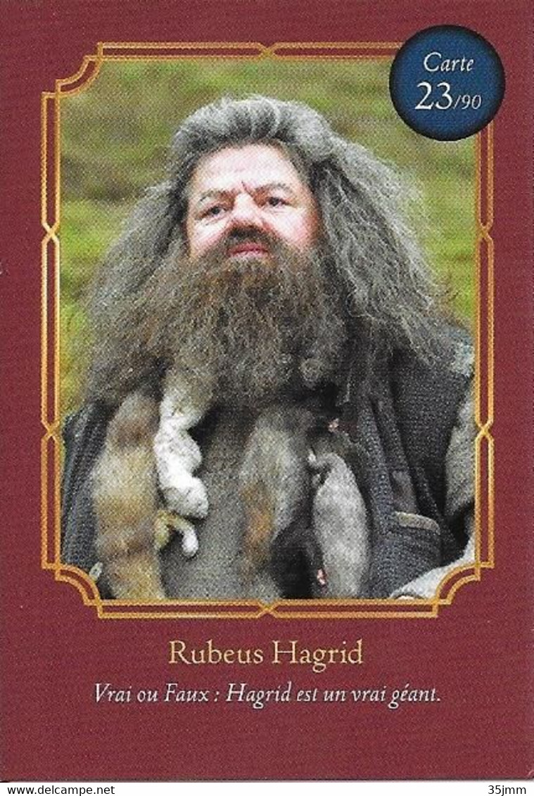 Carte Harry Potter Auchan N°23 Rubeus Hagrid - Harry Potter