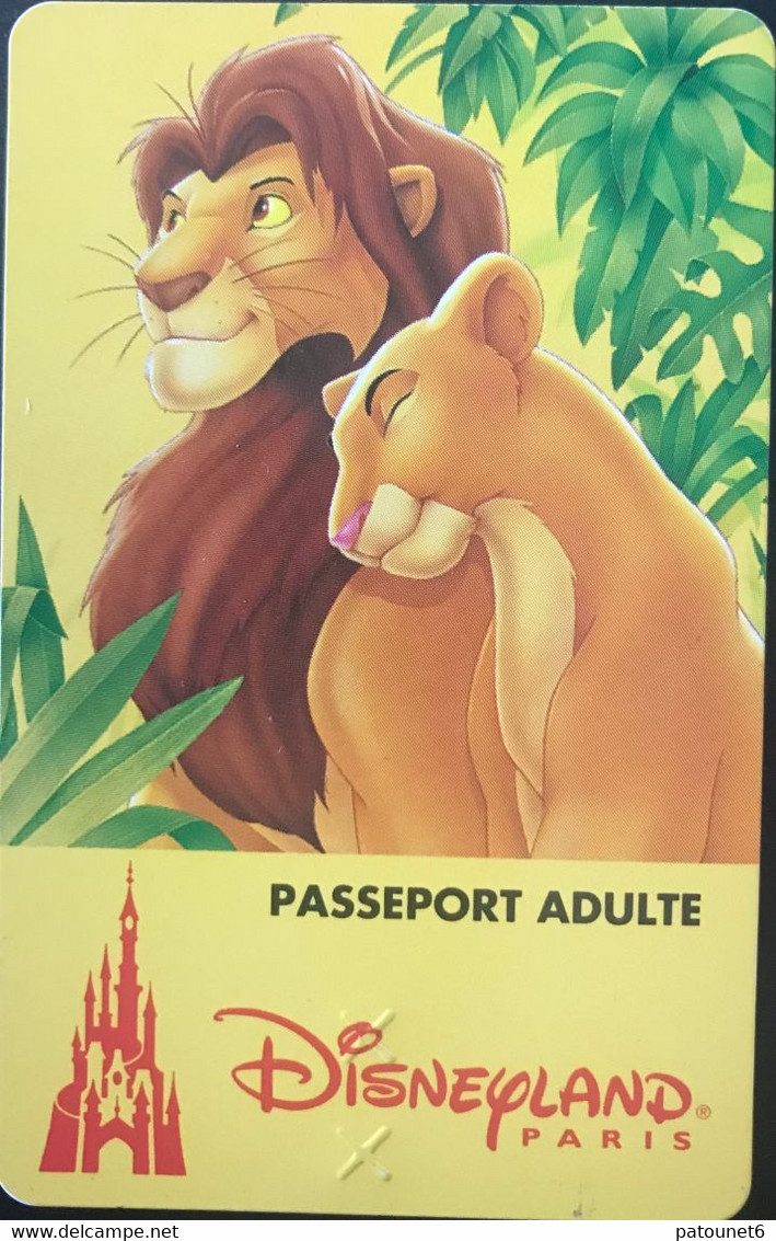 FRANCE  -  DisneyLAND PARIS  -  Adulte  -  Différent Back - Disney-Pässe