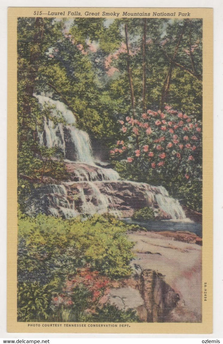 USA,TENNESSEE,LAUREL FALLS ,GREAT SMOKY MOUNTAINS NATIONAL PARK POSTCARD - Smokey Mountains