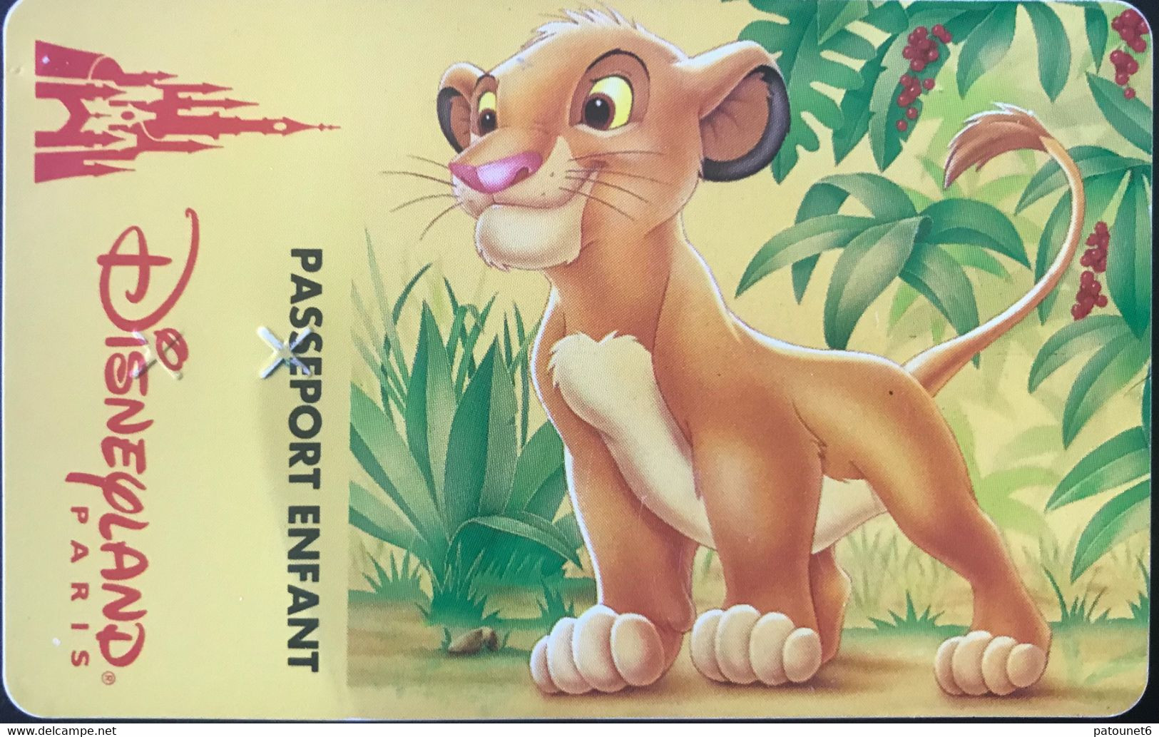 FRANCE  -  DisneyLAND PARIS  -  SIMBA  -  Enfant  -  Différent Back - Passeports Disney