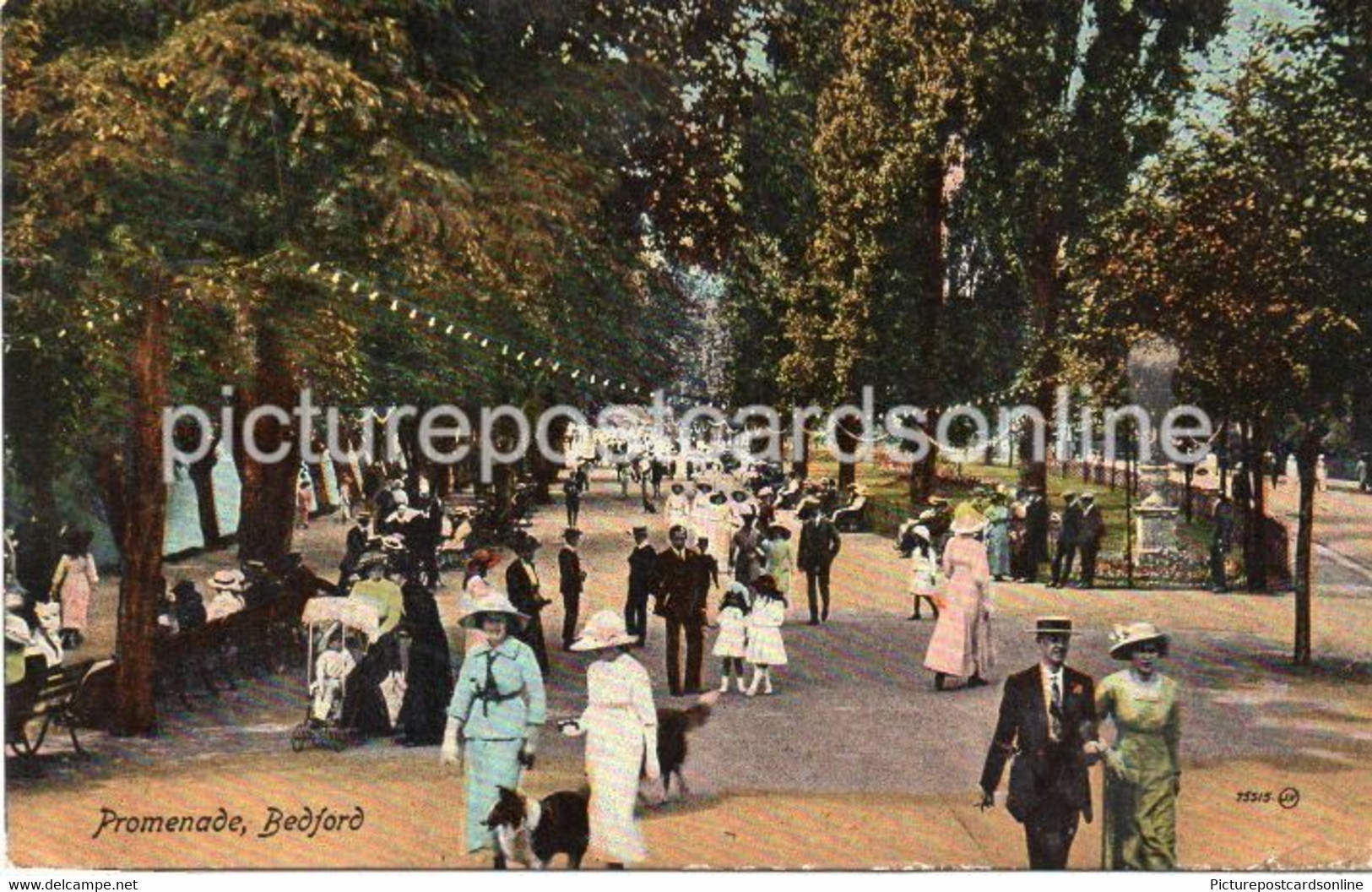 BEDFORD PROMENADE OLD COLOUR POSTCARD BEDFORDSHIRE - Bedford