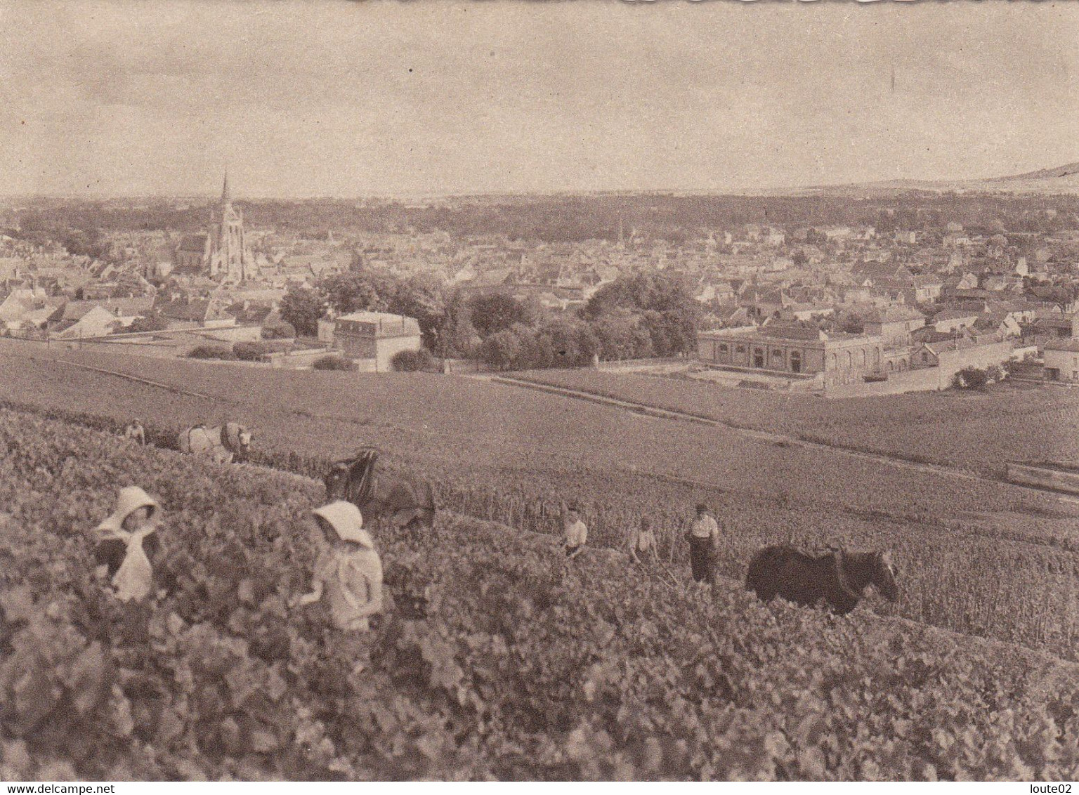 15  CPA   CHAMPAGNE  POMMERY &  GRENO REIMS