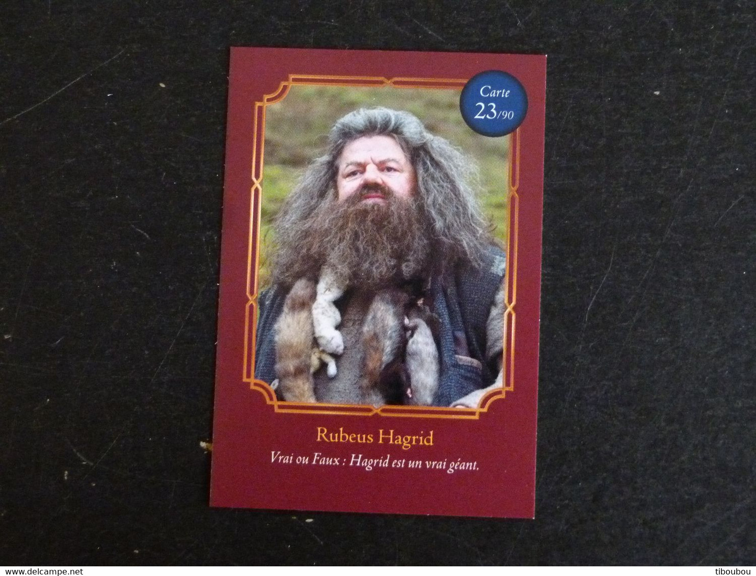 CARTE AUCHAN HARRY POTTER 23/90 RUBEUS HAGRID - Harry Potter