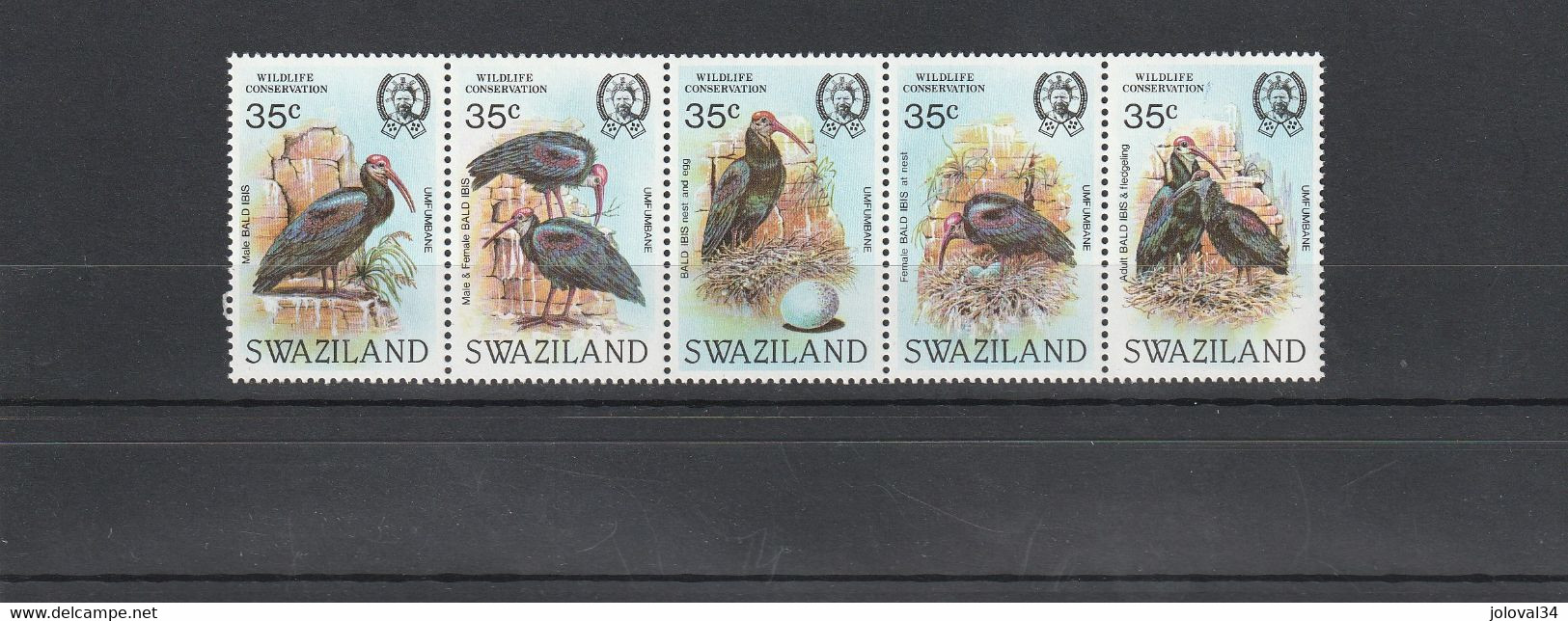 Swaziland - Yvert Série  447 à 451  **  -  Oiseaux Ibis - Swaziland (1968-...)