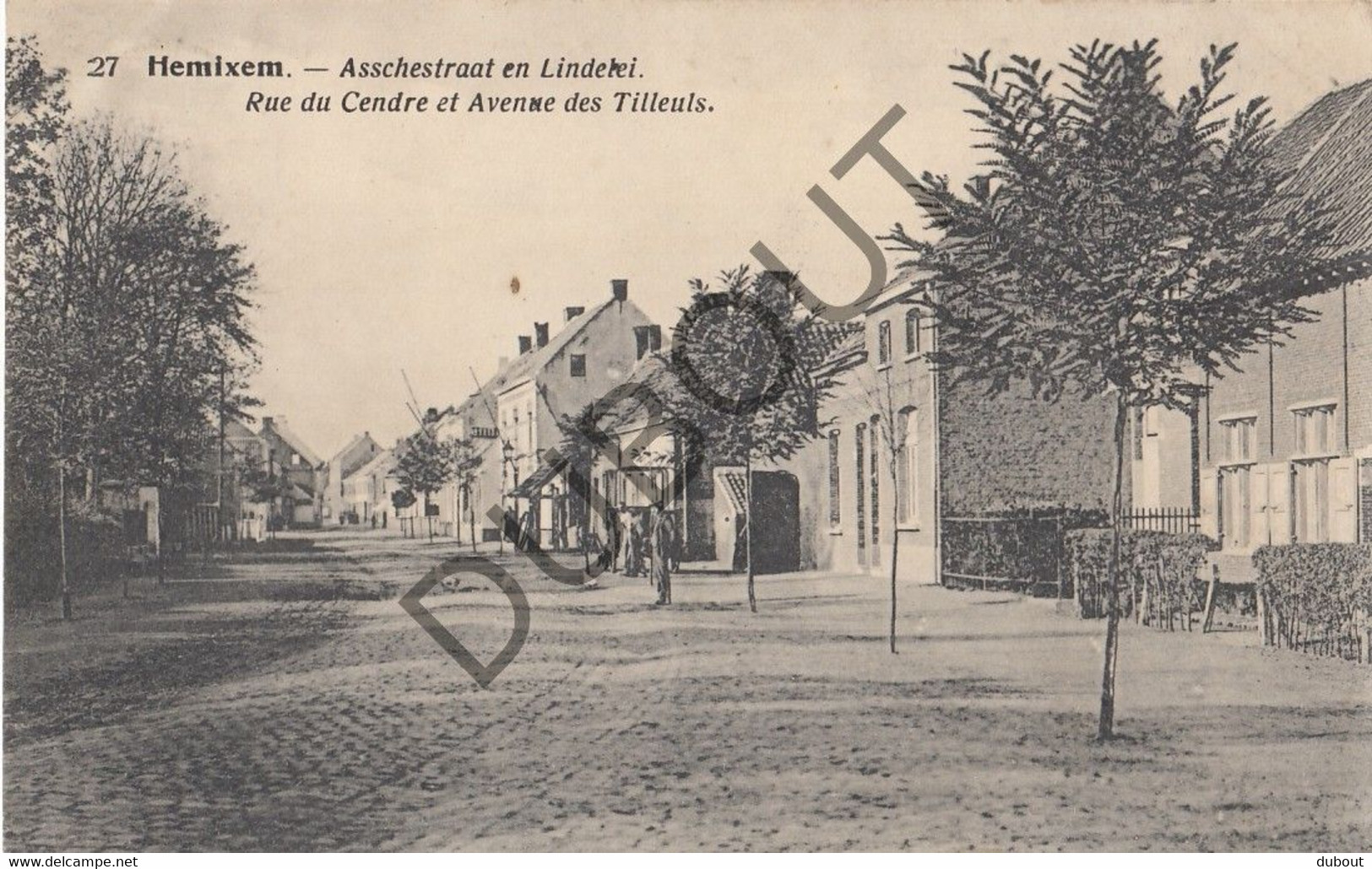 Postkaart/Carte Postale HEMIKSEM - Asschestraat En Lindelei  (C1210) - Hemiksem