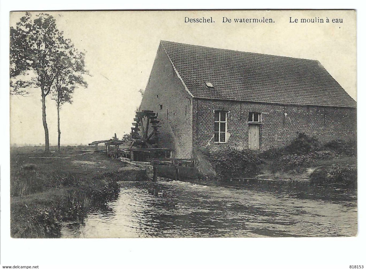 Dessel   Desschel  De Watermolen  Le Moulin à Eau 1910 - Dessel