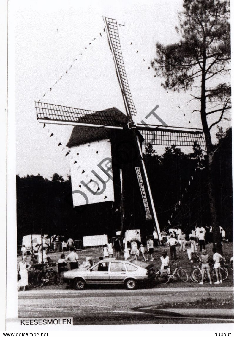 KASTERLEE Molen / Moulin - Originele Foto Jaren '70  -  Molen Te Walle  (Q371) - Kasterlee