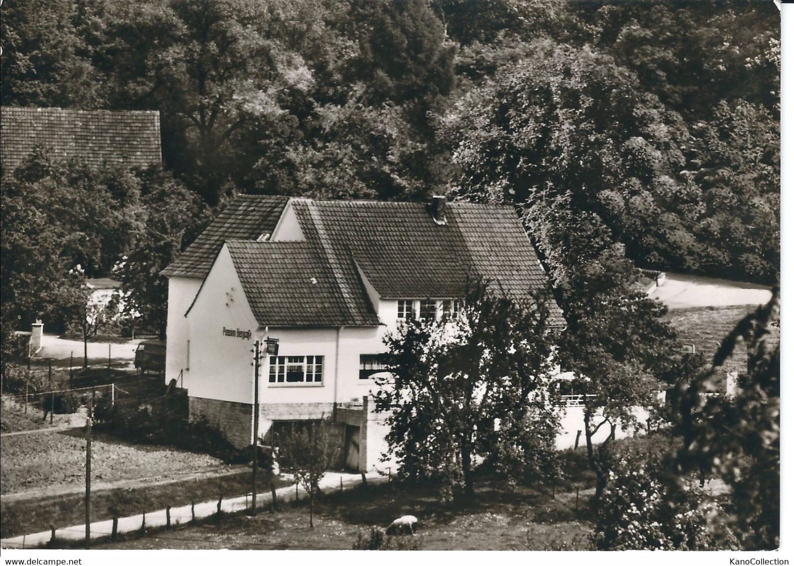 Pension Berg-Café Holzhausen-Externsteine, Horn-Bad Meinberg, Rückseite Beschrieben - Bad Meinberg