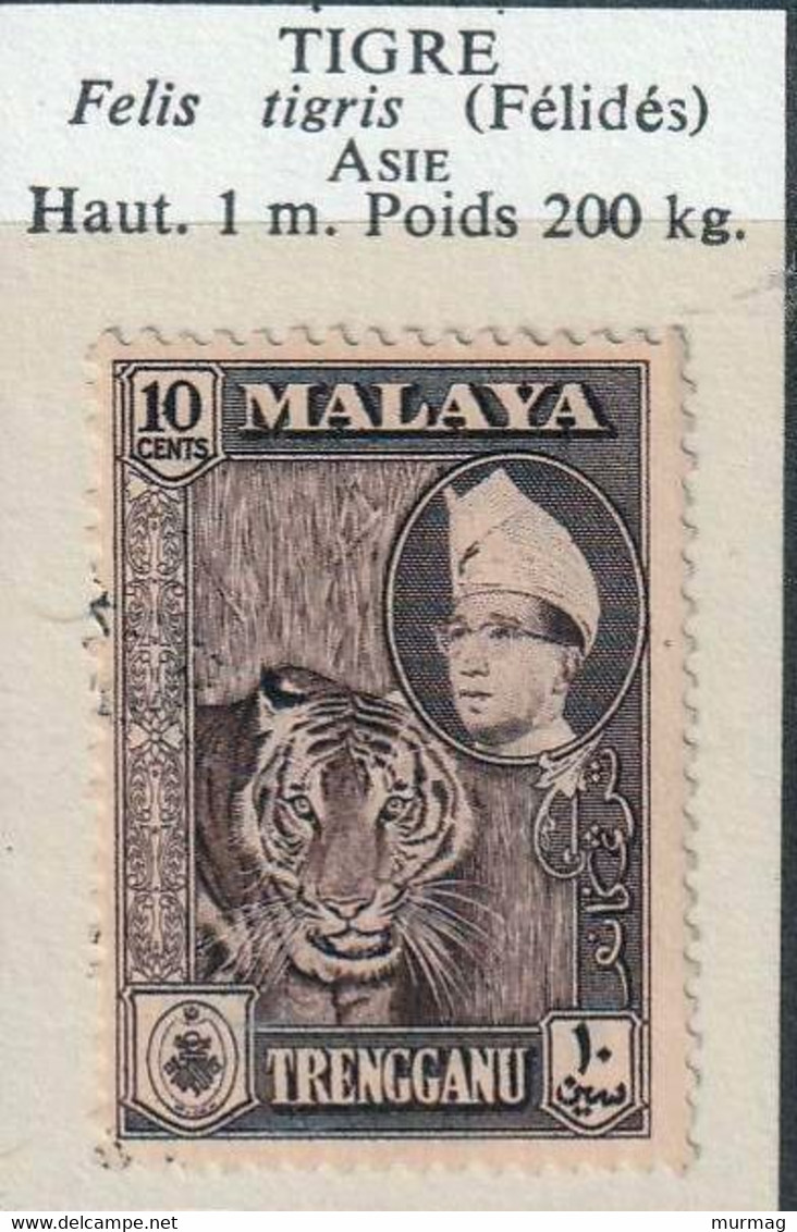 MALAISIE (Trengganu) - Sultan Et Tigre - 1957 - MH - Kedah